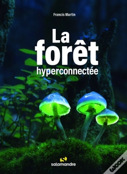 Capa do artigo La Forêt Hyperconnectée