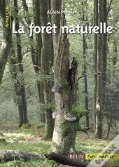 La Forêt Naturelle