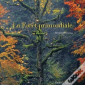 La Forêt Primordiale