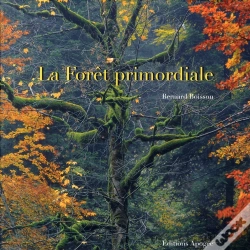 Capa do artigo La Forêt Primordiale