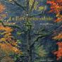 La Forêt Primordiale - Preview