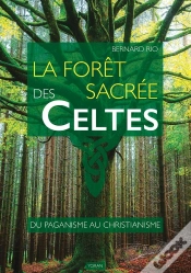 Capa do artigo La Forêt Sacrée Des Celtes : Du Paganisme Au Christianisme