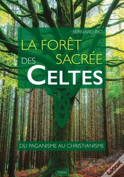 Capa do artigo La Forêt Sacrée Des Celtes : Du Paganisme Au Christianisme