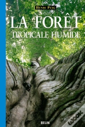 La Forêt Tropicale Humide