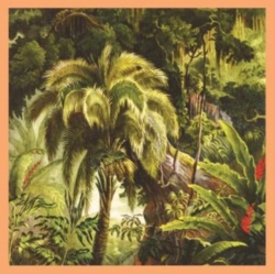 Capa do artigo La Foret - Vinil