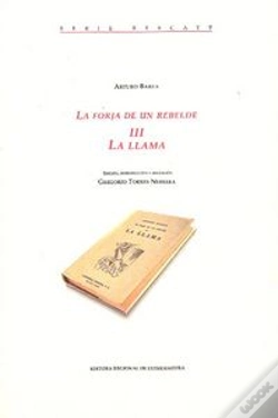 Capa do artigo La Forja De Un Rebelde 3. La Llama