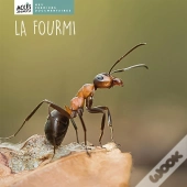 La Fourmi
