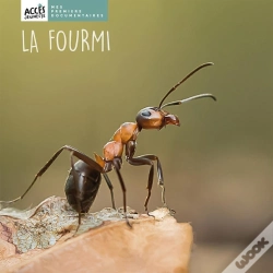 Capa do artigo La Fourmi