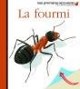 La Fourmi - Preview