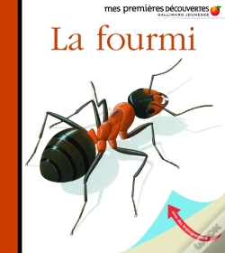 Capa do artigo La Fourmi