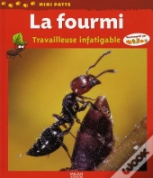 La Fourmi ; Travailleuse Infatigable