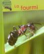 La Fourmi - Preview