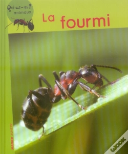Capa do artigo La Fourmi