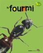 La Fourmi - Preview