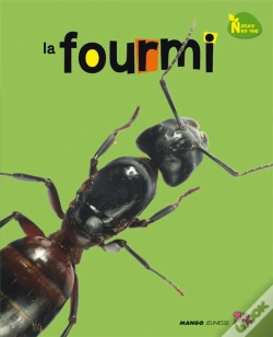 Capa do artigo La Fourmi