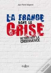 La France Dans La Crise ; Retrouver La Croissance