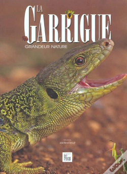 Capa do artigo La Garrigue ; Grandeur Nature