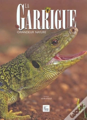 Capa do artigo La Garrigue ; Grandeur Nature