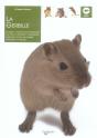 La Gerbille - Preview