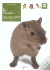Capa do artigo La Gerbille