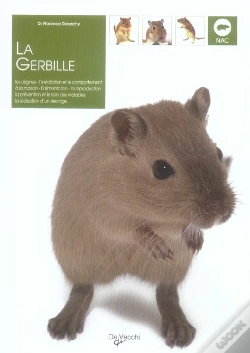 Capa do artigo La Gerbille