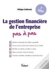 La Gestion Financière De L'Entreprise Pas À Pas : Comprendre Le Bilan Et Le Compte De Résultat