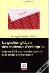 La Gestion Globale Des Contenus D'Entreprise ; Le Projet Ecm, Une Nouvelle Approche De La Gestion De L'Information
