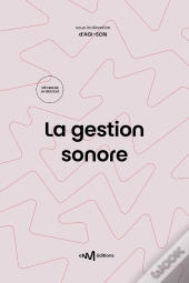 La Gestion Sonore : Guide Pratique De La Diffusion De Musiques Amplifiées (2e Édition)