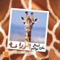 La Girafe - Preview