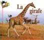 La Girafe - Preview