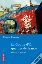 La Goutte-D'Or, Quartier De France ; La Mixite Au Quotidien