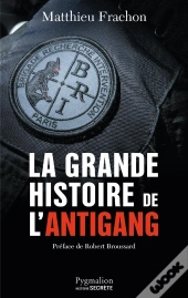 La Grande Histoire De L'Antigang