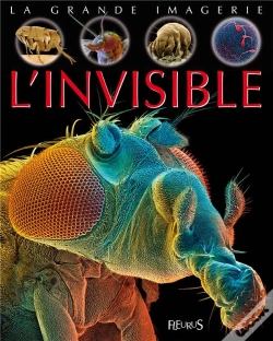 Capa do artigo La Grande Imagerie De L'Invisible