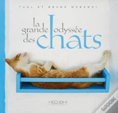 La Grande Odyssée Des Chats