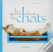 La Grande Odyssée Des Chats