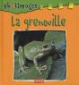 La Grenouille - Preview