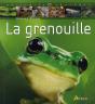 La Grenouille - Preview