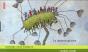 La Grosse Graine - Preview