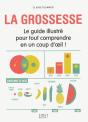 La Grossesse ; Le Guide Illustré Pour Tout Comprendre En Un Coup D'Oeil ! - Preview
