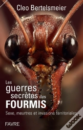 La Guerre Des Fourmis