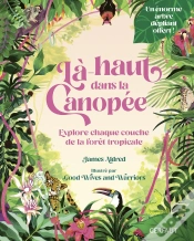 Capa do artigo Là-Haut Dans La Canopée : Explore Chaque Couche De La Forêt Tropicale