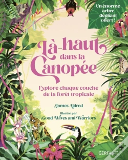 Capa do artigo Là-Haut Dans La Canopée : Explore Chaque Couche De La Forêt Tropicale