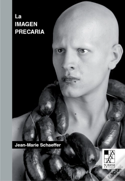 Capa do artigo La Imagen Precaria