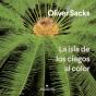 La Isla De Los Ciegos Al Color - Preview