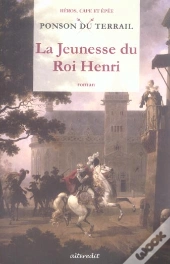 La Jeunesse Du Roi Henri T.1