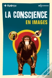 Capa do artigo La La Conscience En Images