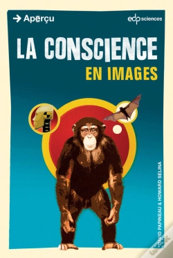 Capa do artigo La La Conscience En Images