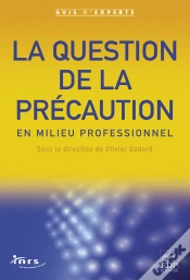 Capa do artigo La La Question De La Précaution En Milieu Professionnel