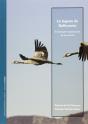 La Laguna De Gallocanta. El Incesante Espectáculo De Lo Natural - Preview