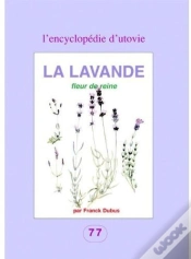 Capa do artigo La Lavande, Fleur De Reine